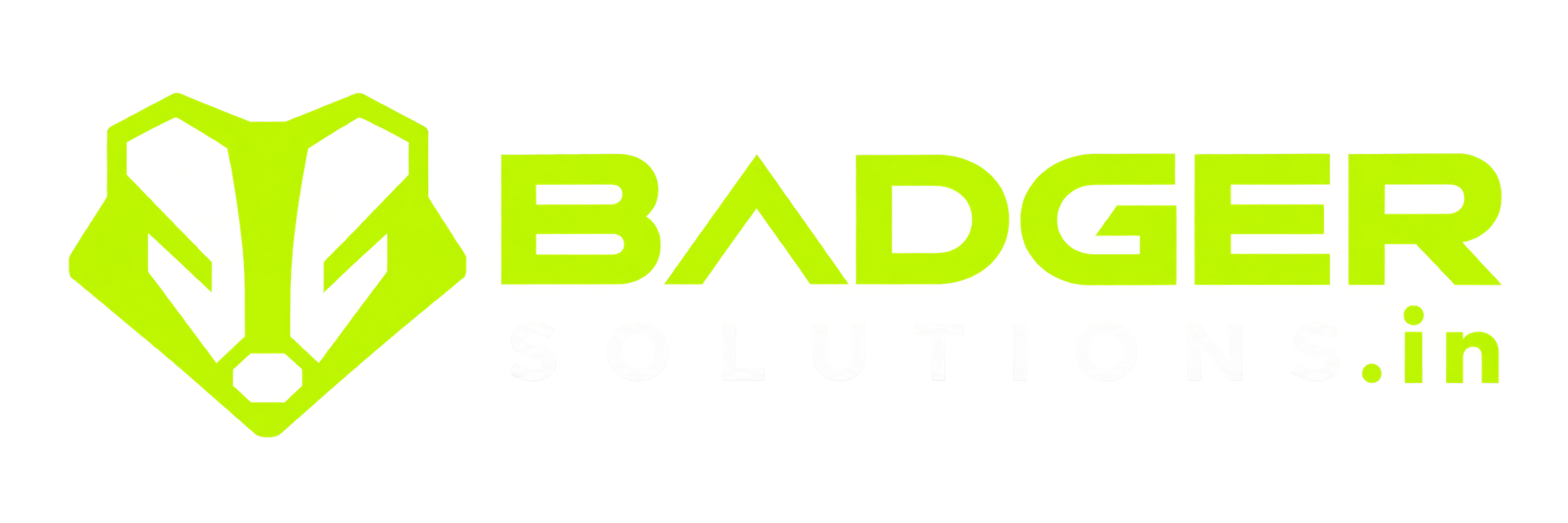 Badger Solutions logo